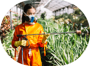 Pest & Fungicides